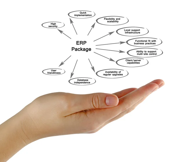 Diagramma del pacchetto Erp — Foto Stock